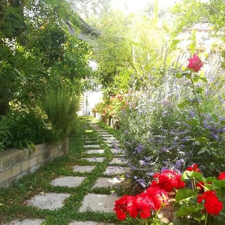 비코에쿠엔세 Il Vialetto Dei Limoni B&B 외부 사진