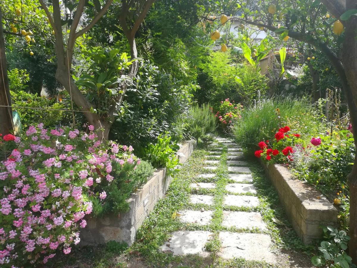 비코에쿠엔세 Il Vialetto Dei Limoni B&B 외부 사진
