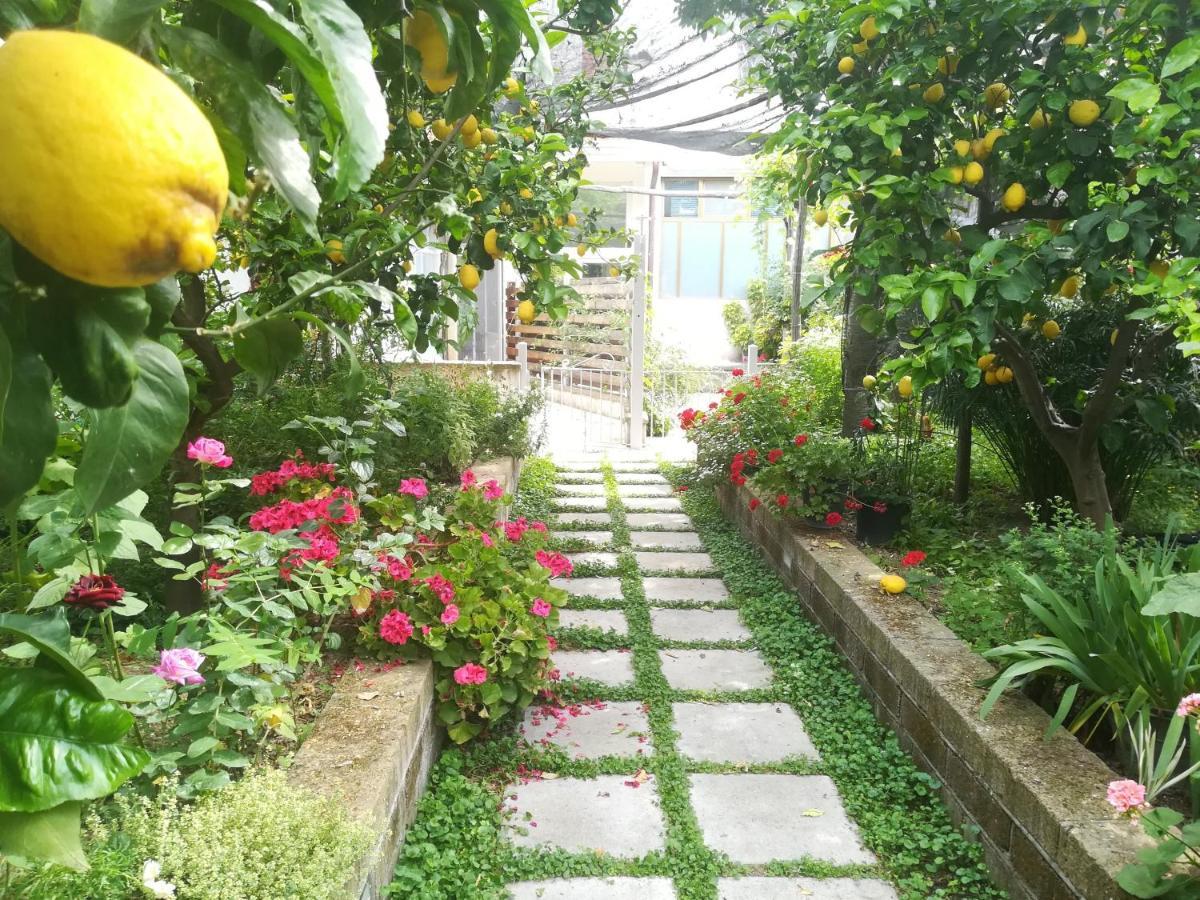 비코에쿠엔세 Il Vialetto Dei Limoni B&B 외부 사진